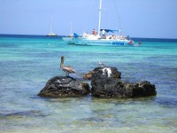 /album/paz/aruba-02-jpg/